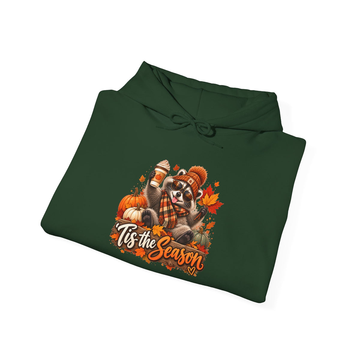 Tis the Season Raccoon Hoodie