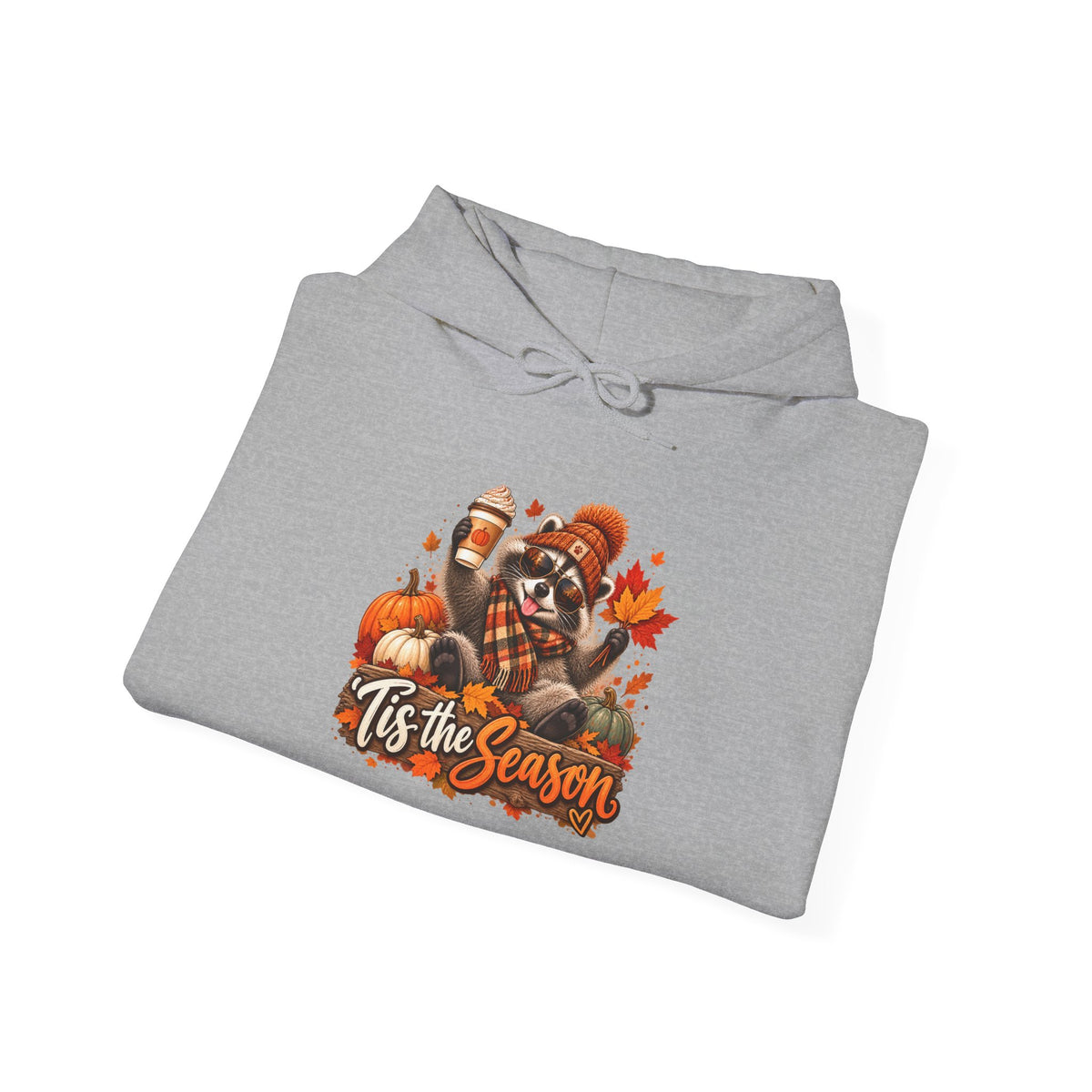 Tis the Season Raccoon Hoodie
