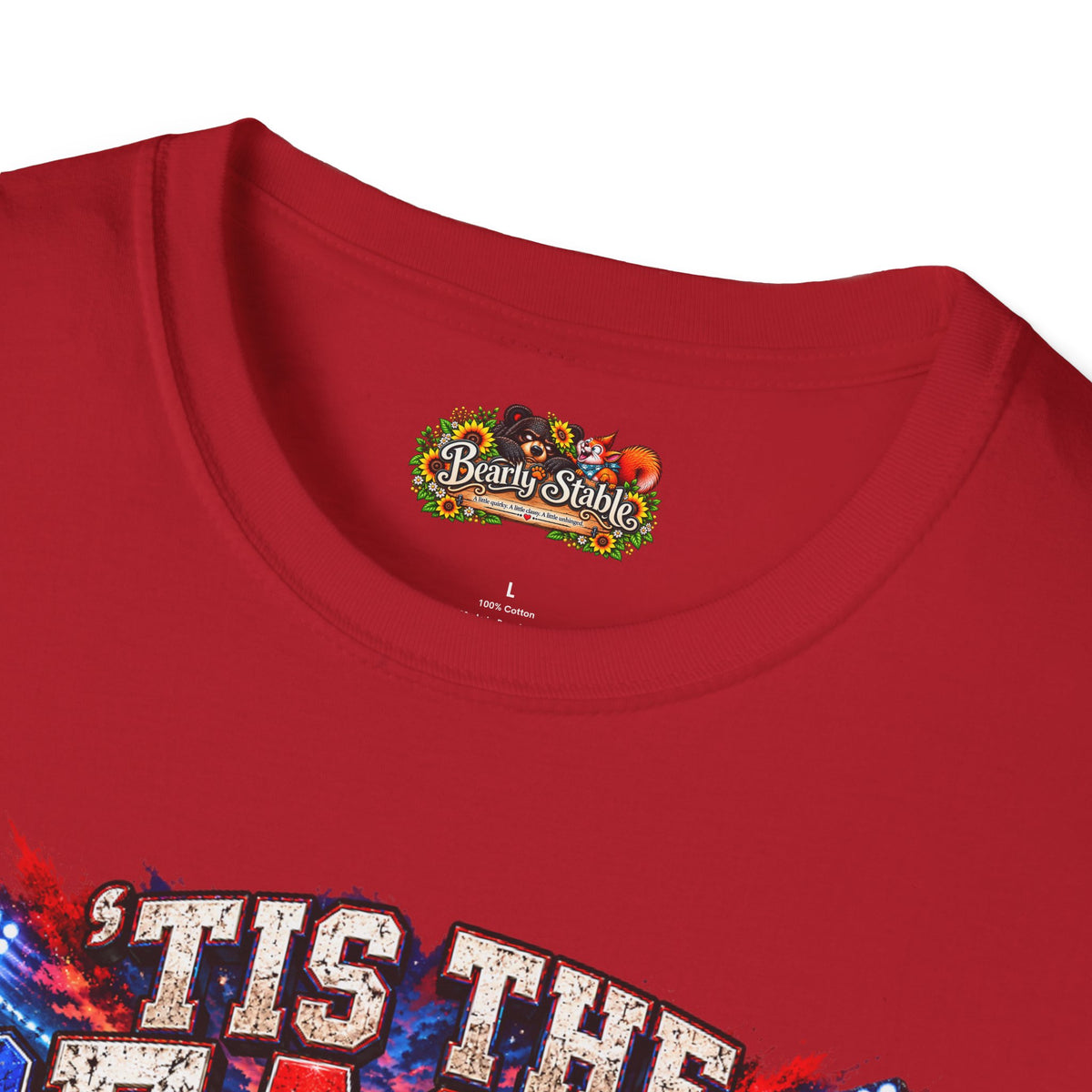 Football Season Tee