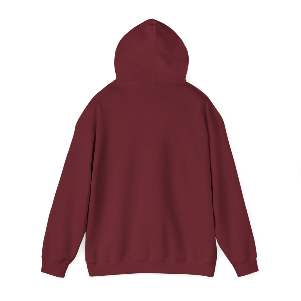Lake Hair Hoodie - Witch & Lake Sunset Graphic Hooded Sweatshirt