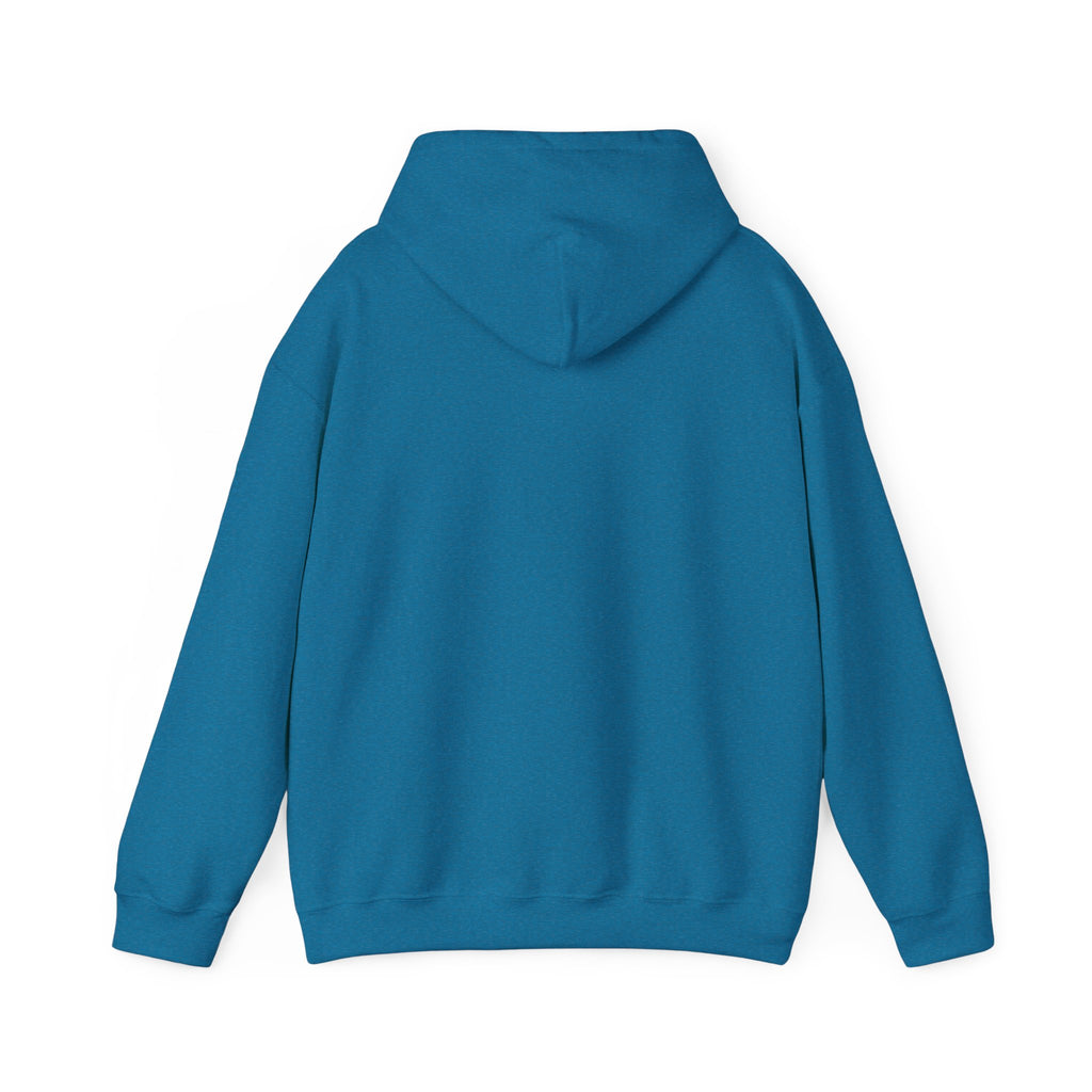 Lake Hair Hoodie - Witch & Lake Sunset Graphic Hooded Sweatshirt