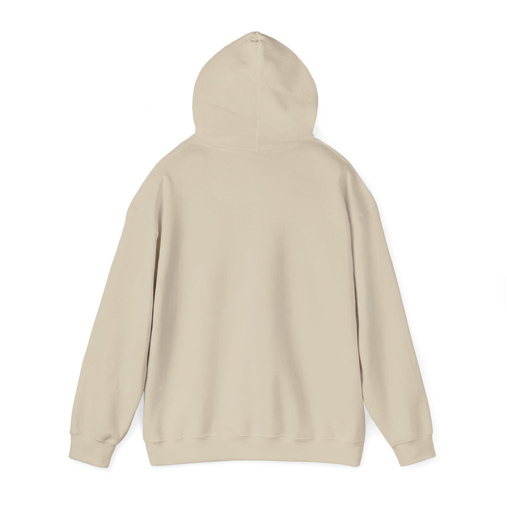 Conesus Lake Scenic Hoodie