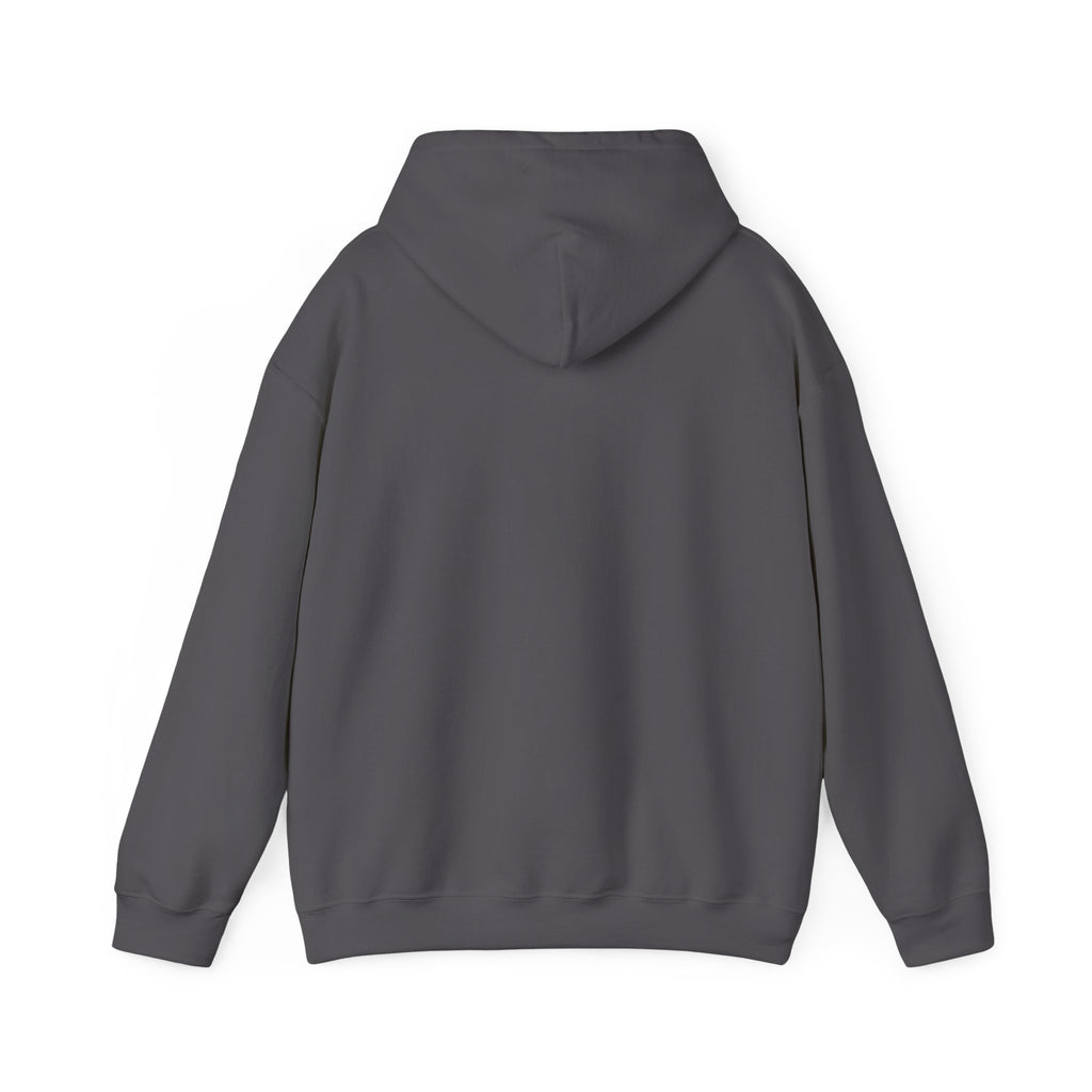 Bear and squirrel 'If I Survive' Graphic Hoodie