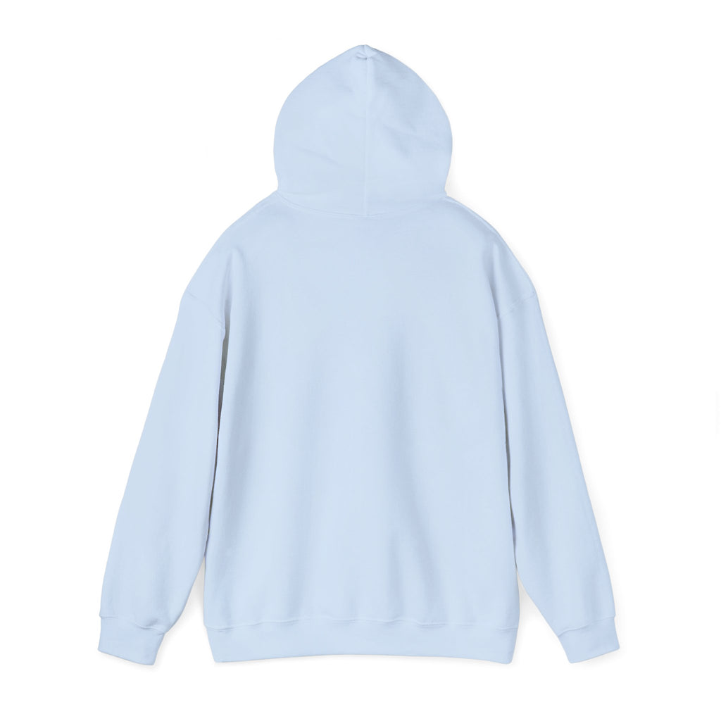 Stay Weird Seagull Hoodie
