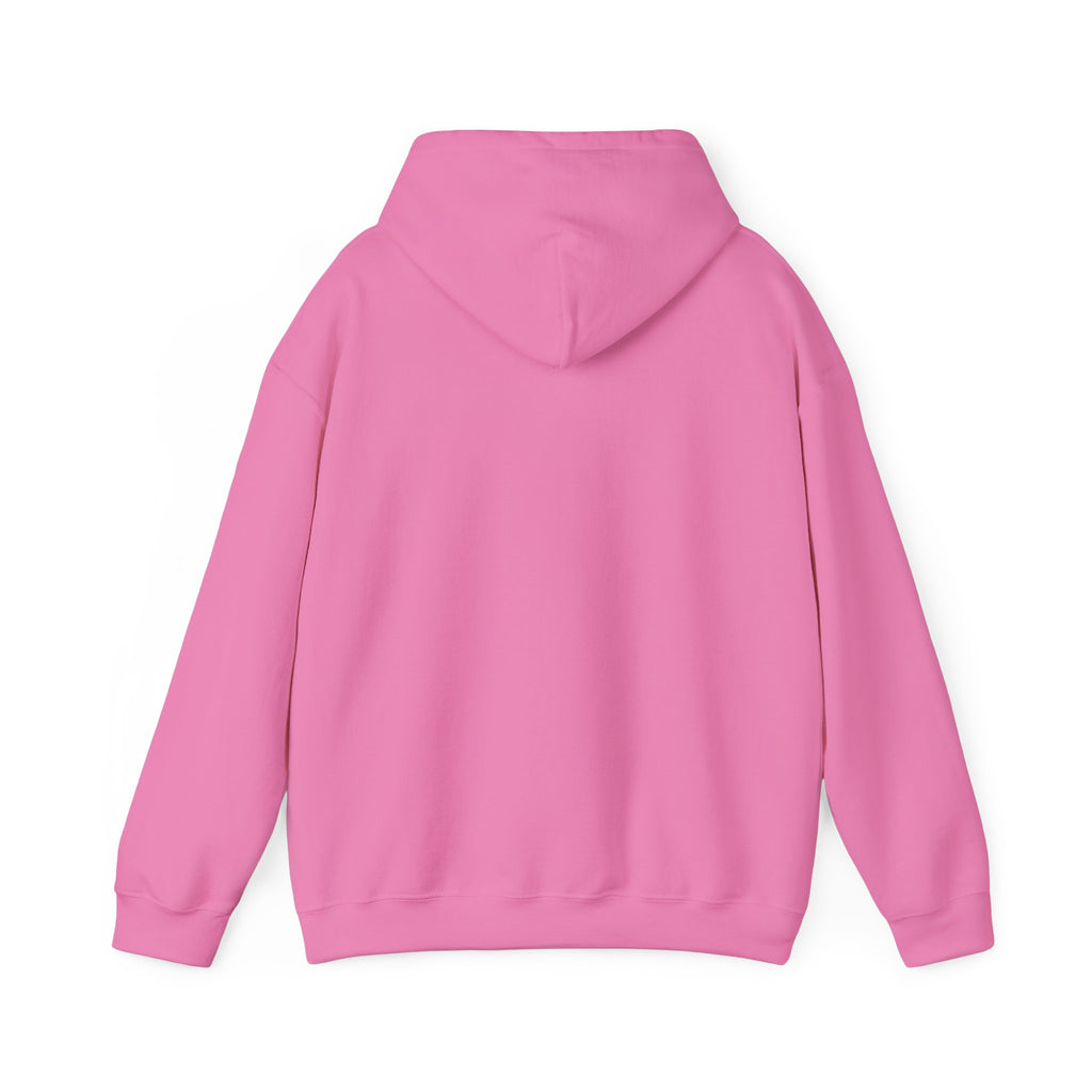 "If You're Gonna Be A Boosheet At Least Bring Me Coffee Too" Hoodie