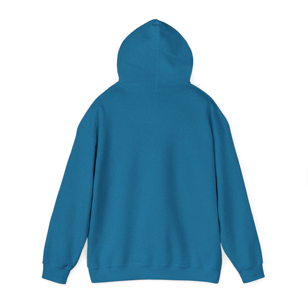 Lake Hair Hoodie - Witch & Lake Sunset Graphic Hooded Sweatshirt