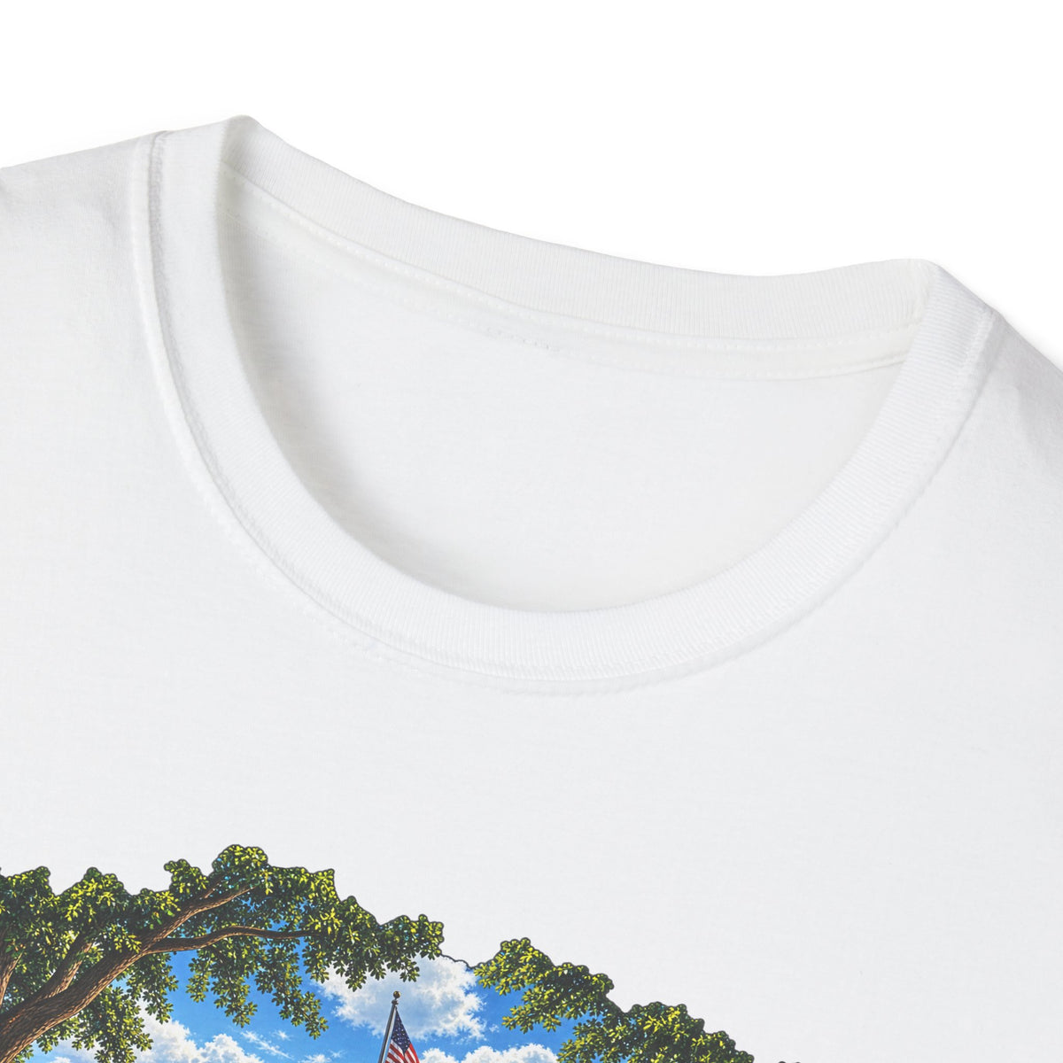 Conesus Lake Vintage Scenic T-Shirt