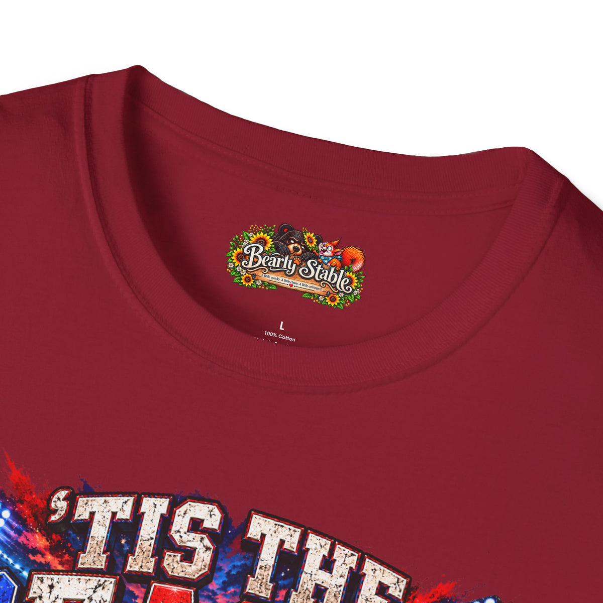Football Season Tee