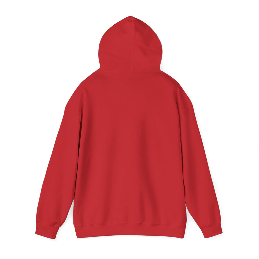 Tis The Season Football Hoodie –Sports Fan Pullover