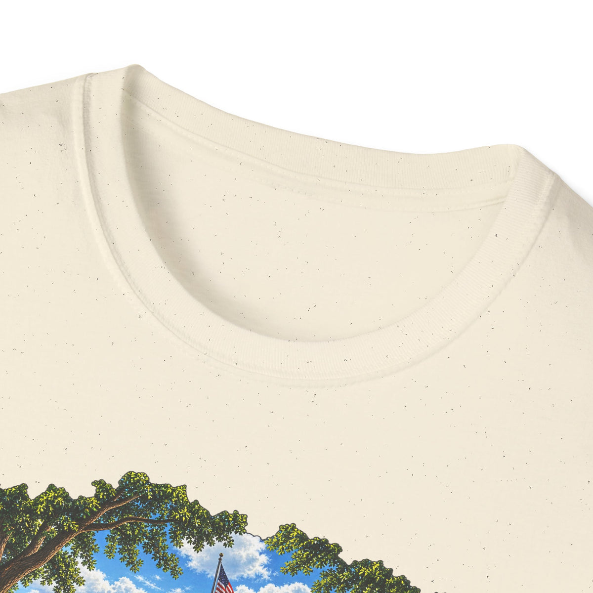 Conesus Lake Vintage Scenic T-Shirt