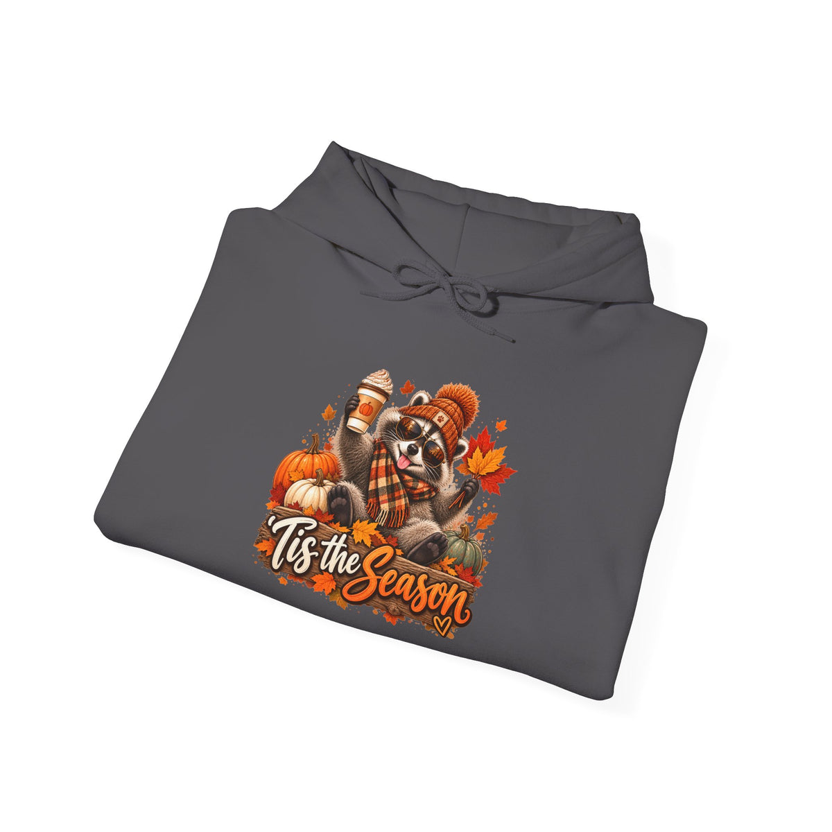 Tis the Season Raccoon Hoodie