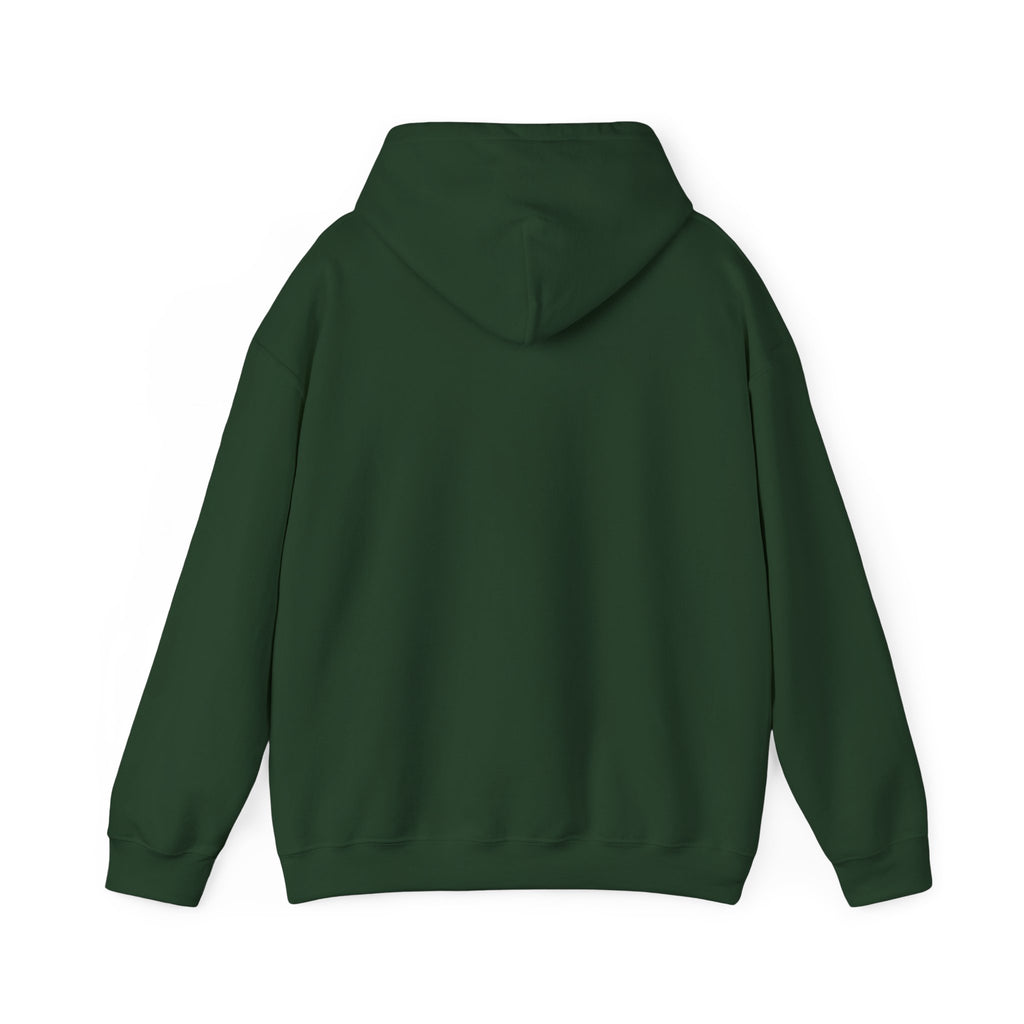 Tis the Season Raccoon Hoodie