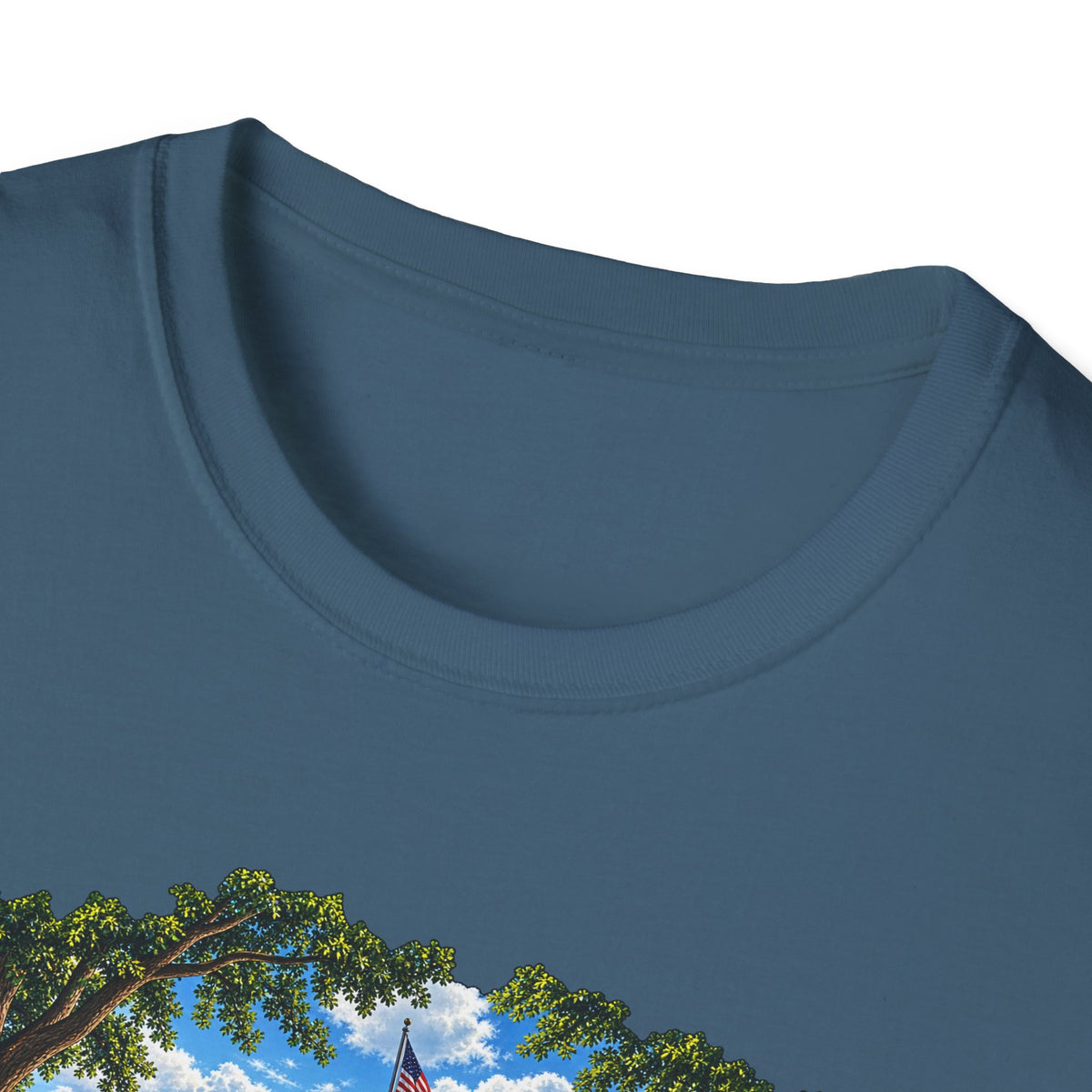 Conesus Lake Vintage Scenic T-Shirt