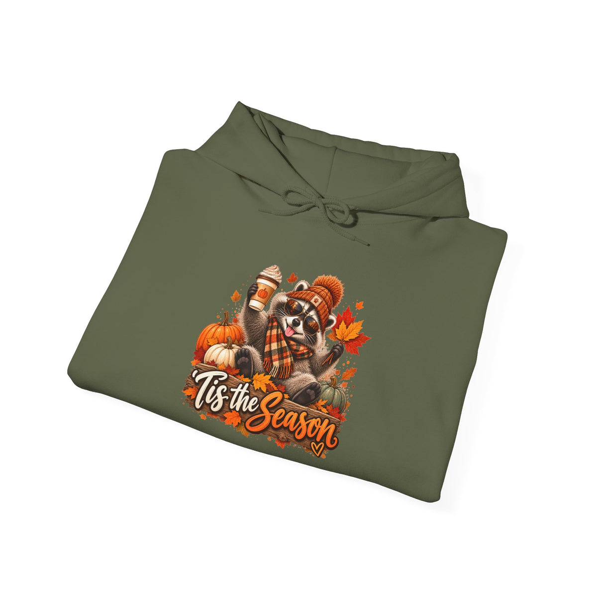 Tis the Season Raccoon Hoodie