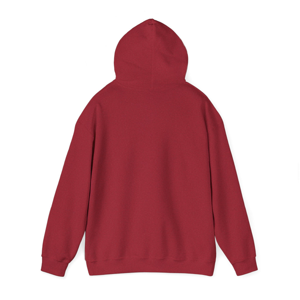 Peekaboo Cat Hoodie