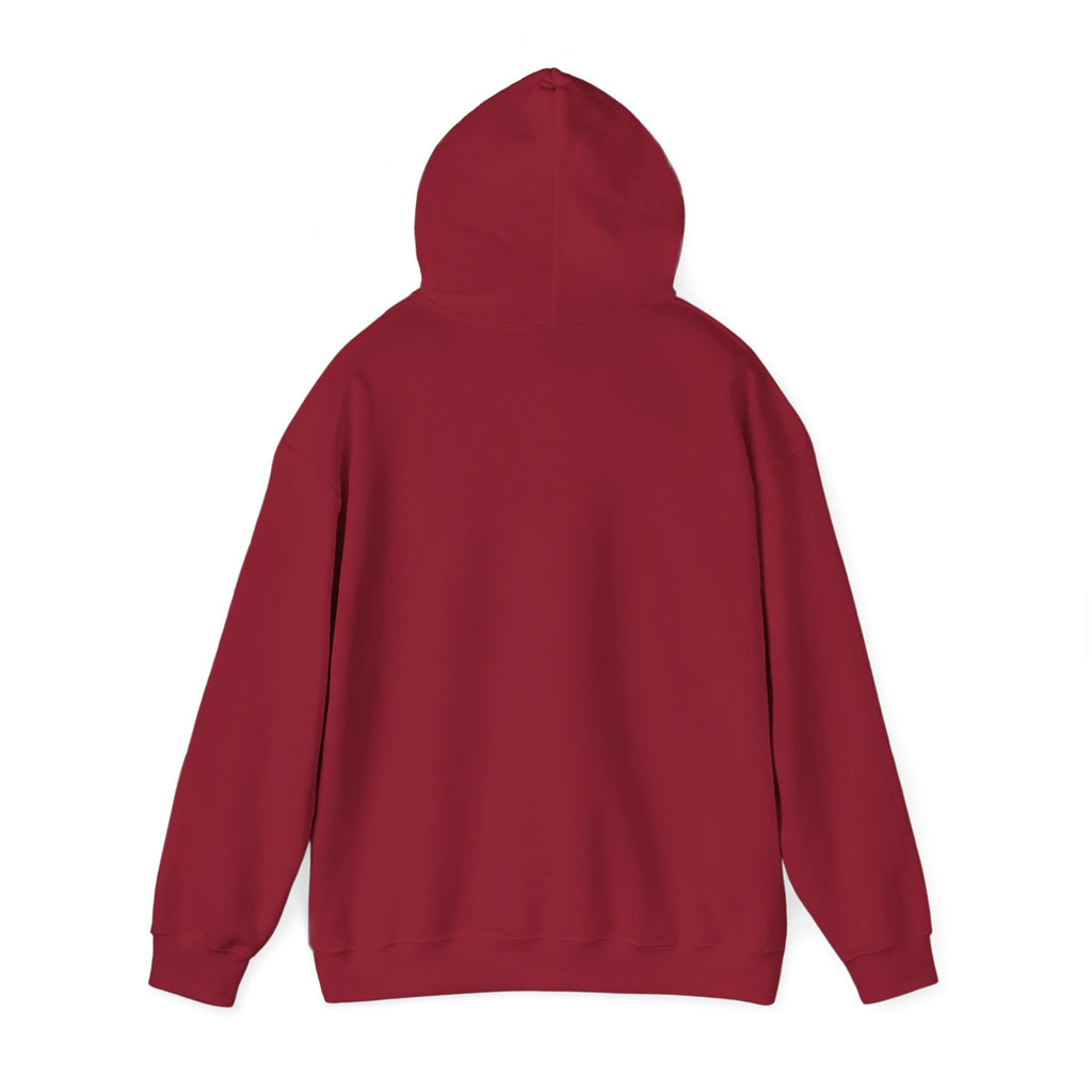 Feral & Supportive Raccoon Hoodie
