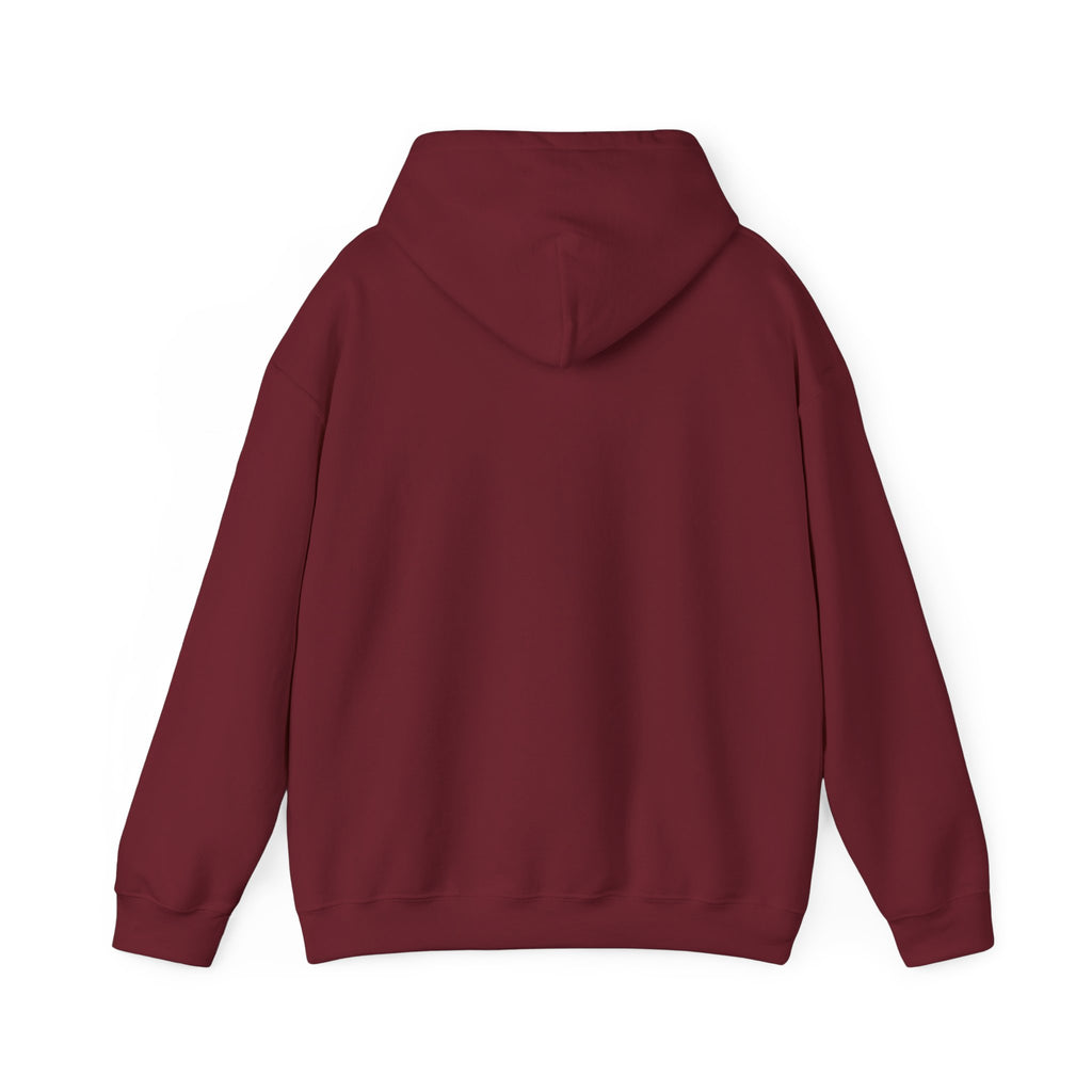 Lake Hair Hoodie - Witch & Lake Sunset Graphic Hooded Sweatshirt