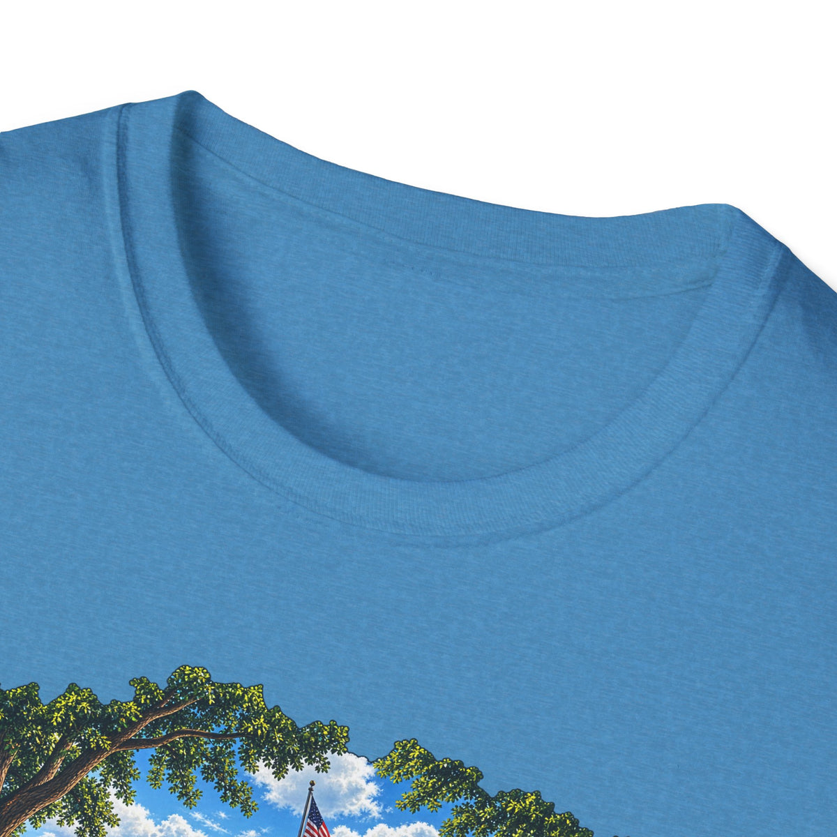 Conesus Lake Vintage Scenic T-Shirt